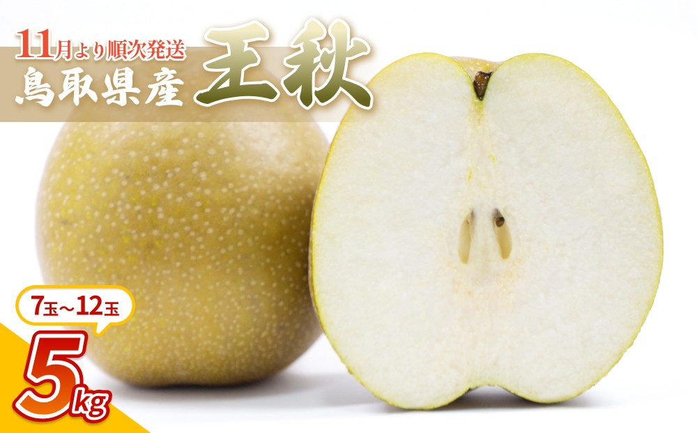 
                  【先行予約】中野農園 梨 ”王秋梨” 5kg箱｜鳥取 岩美 梨 なし ナシ 赤梨 果物 フルーツ ※お届けは2026年11月以降【41017】
                