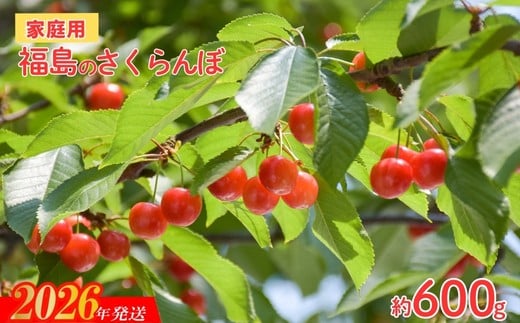 No.2635【ご家庭用】さくらんぼ 品種お任せ 小粒　約600ｇ【2026年発送　先行予約】