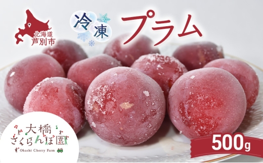 
                  冷凍プラム 500g 冷凍 プラム 果物 くだもの フルーツ 旬の果物 旬のフルーツ 大橋さくらんぼ園 果物類 フルーツ デザート 完熟 急速冷凍 新鮮 美味しい 人気 冷凍配送 北海道 芦別市[№5342-0761]
                