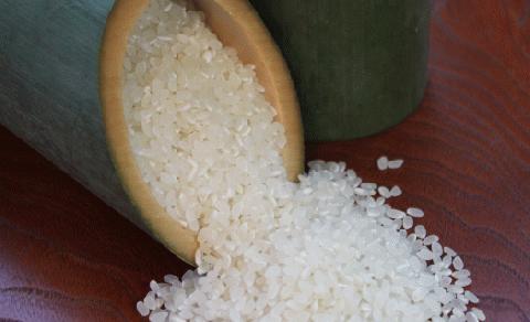 【先行予約】レンゲ栽培米 夢つくし 4.5kg 【2025年10月以降順次発送】《築上町》【久楽農園】 [ABAT001] 精米 お米 こめ コメ ご飯