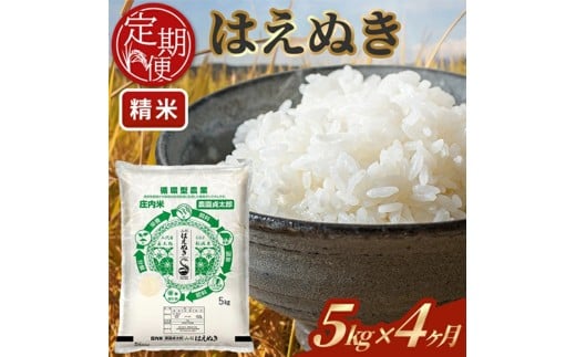 【4回定期便】令和7年産 ［精米］はえぬき　5kg×4回(計20kg) SI0057