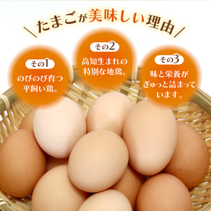【たまご 3回定期便】土佐ジローのたまご 50個入 高知県 南国市