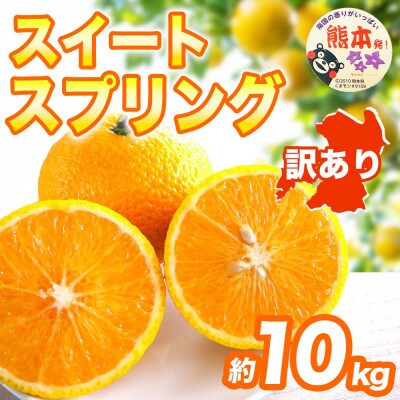 スイートスプリング みかん 訳あり 約10kg(宇城市)【1713549】