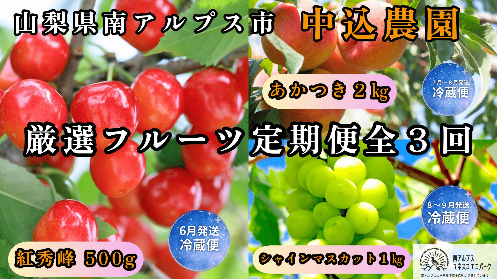 【ふるさと納税】＜2026年発送先行予約＞山梨県南アルプス市産 厳選フルーツ定期便全3回A(さくらんぼ・桃・シャインマスカット1kg) ふるさと納税 サクランボ シャイン もも 定期便 果物 フルーツ おすすめ 山梨県 南アルプス市 送料無料 ALPEM017