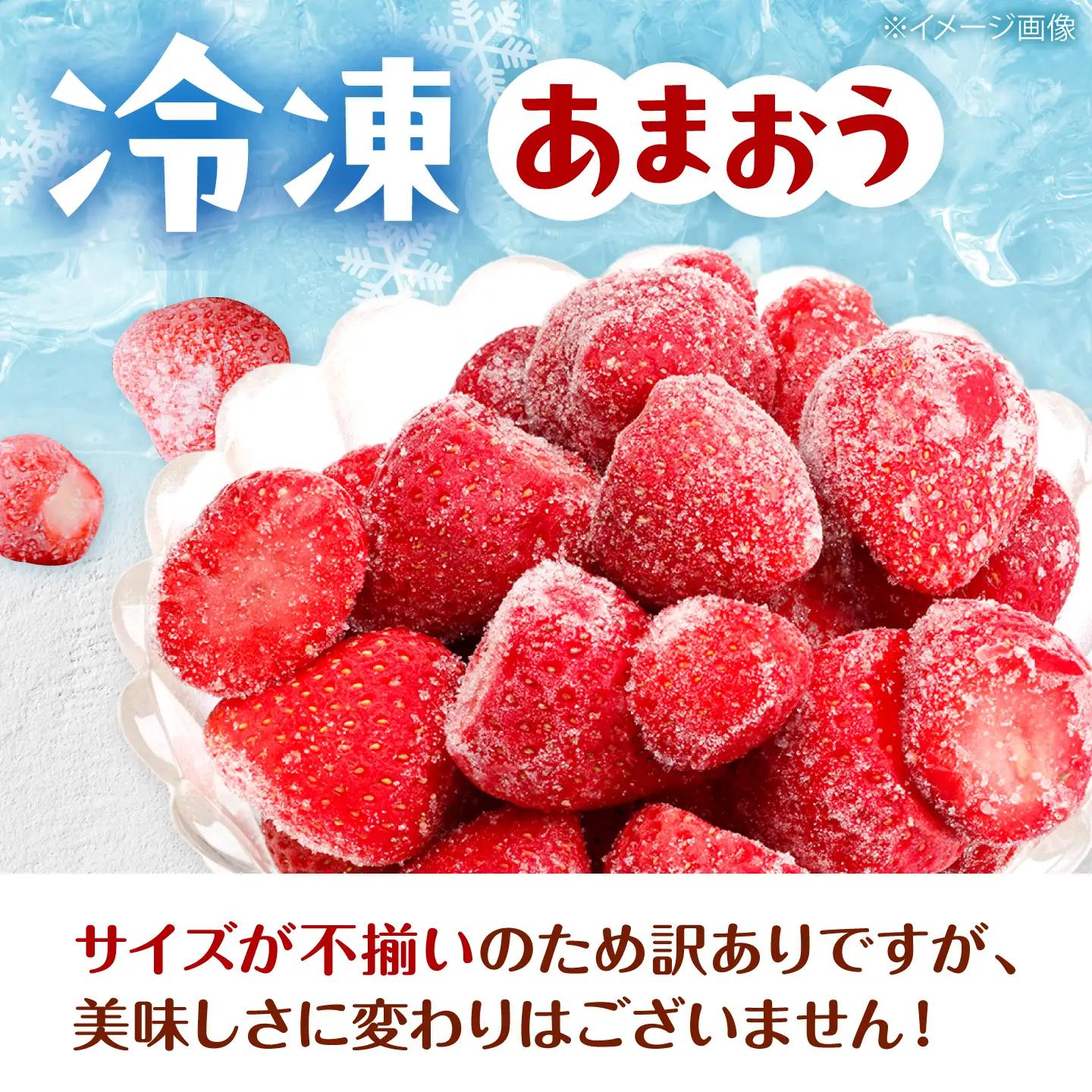 【訳あり】福岡県産 冷凍あまおう 500g （ 250g × 2個 ）　桂川町/株式会社木村食品[ADCG138]