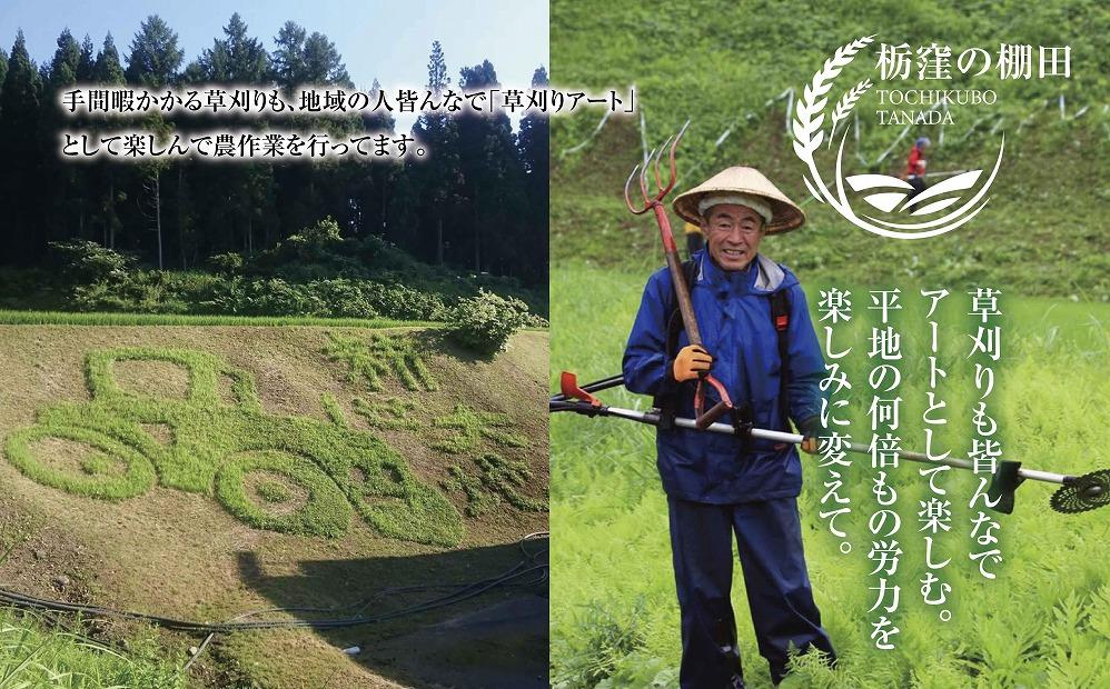 【栃窪の棚田米限定】南魚沼 しおざわ 栃窪産 コシヒカリ 5kg ｜玄米｜ 日熊の米 農家のこだわり 棚田 こしひかり 農家直送 減農薬 新潟県認証 エコファーマー ベストファーマー 新潟県 南魚沼市