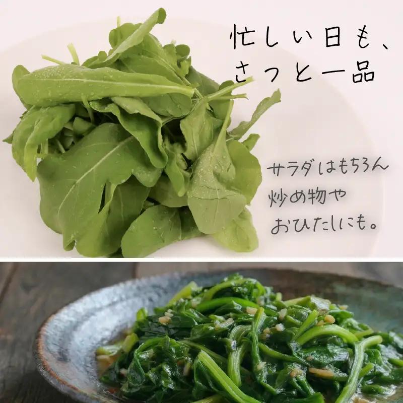 若採り ルッコラ ジュニア | サラダ 水耕 葉物 野菜 南国市