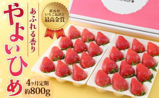 【4ヶ月定期便】いちご やよいひめ 贅沢時間 約800g 群馬県いちご品評会最高金賞受賞 2027年 先行予約 | 非日常 朝採れ やみつき高品質 たっぷり 贈答用 新鮮 完熟 いちご 旬 苺 ストロベリー 高級 産地直送 果汁 甘い あまい 人気 高評価 贈答いちご 高糖度 ごほうび プレゼント 桑原いちご園 群馬県 前橋市