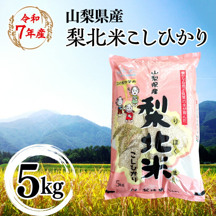【ふるさと納税】【山梨のブランド米】 山梨県産 梨北米こしひかり　5kg 米 ふるさと納税 精米 国産 送料無料 コメ こめ ブランド米 送料無料 お取り寄せ ごはん ご飯 ギフト 贈り物 プレゼント 山梨県 送料無料 115-008
