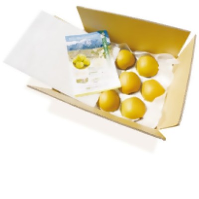 鳥取県産梨「王秋（おうしゅう）」5kg