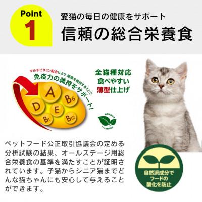 ふるさと納税 久留米市 APro猫用ドライフード かつお 2kg×6袋(久留米市) |  | 01