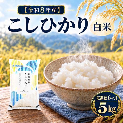 【令和8年産】 米 定期便 コシヒカリ 白米 5kg 新米 こしひかり 6回定期便 精米 こめ コメ お米 ご飯 米定期便 6か月定期便 6ヶ月定期便 6回 6ヶ月 6か月 滋賀県 豊郷町