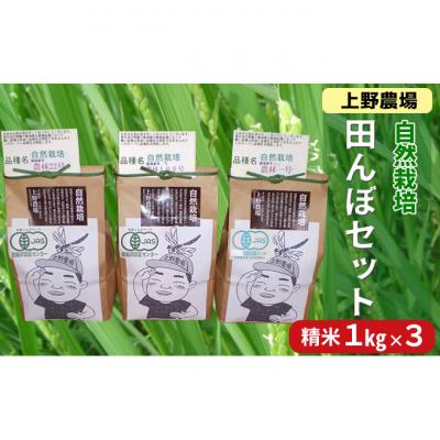 ふるさと納税 新潟市 上野農場 田んぼセット 精米1kg×3袋[54070112]