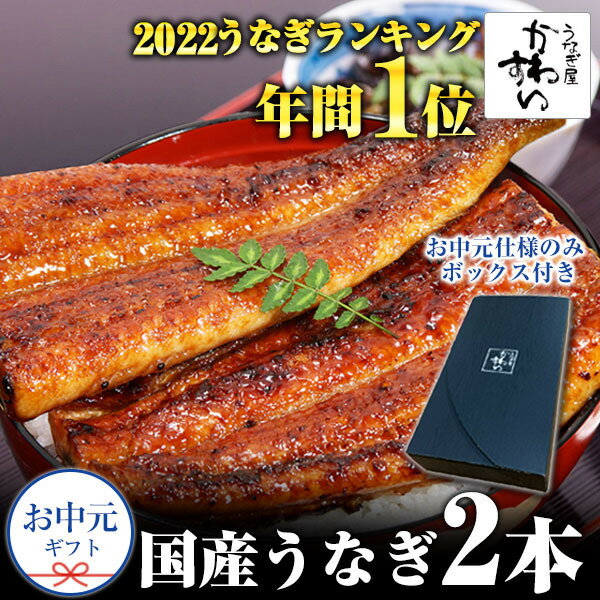 国産うなぎ蒲焼き大サイズ2本セット