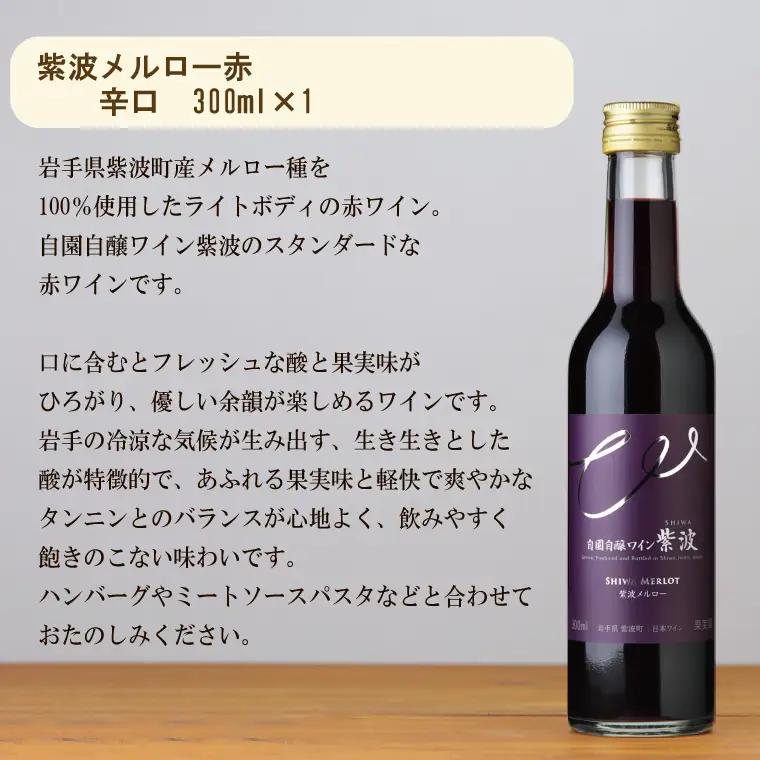 【自園自醸ワイン紫波】 ワインミニボトル２本セット[辛口]（AL056-2）