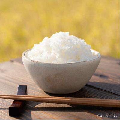 ふるさと納税 糸島市 【全6回定期便】とくべつ の中のとくべつ 特別栽培米 3kg (コシヒカリ)[ARJ002] |  | 01