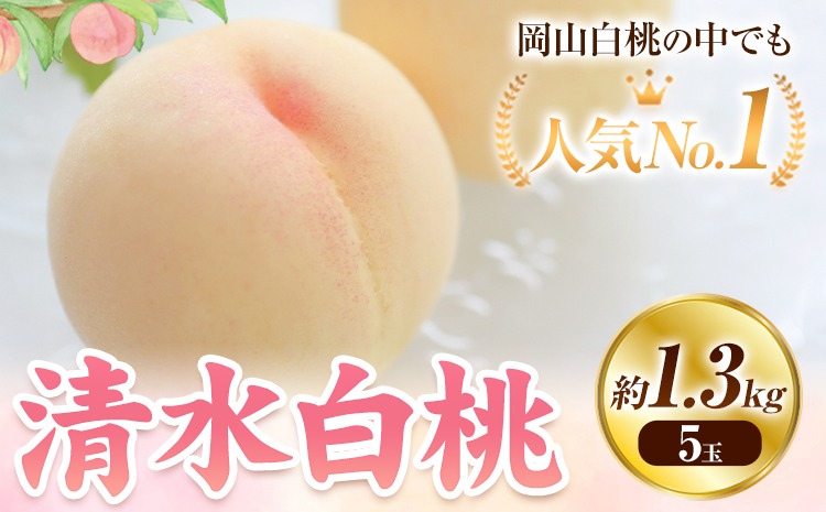【2027年発送先行予約】清水白桃 先行予約 清水白桃 約1.3kg（5玉） 《2027年7月下旬-8月上旬頃出荷》 桃 清水白桃 白桃 晴れの国おかやま館 フルーツ 果物 果実 岡山県 笠岡市---B-56f---