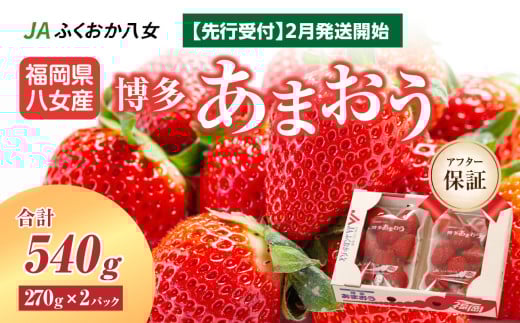 【先行受付 2026年2月発送開始】博多あまおうＧ約270g×2パック｜ＪＡふくおか八女 あまおう いちご 苺 イチゴ フルーツ 果物 くだもの 人気  旬 福岡県産 大粒 アフター補償 数量限定 期間限定 産地直送 グランデ 福岡県 八女市