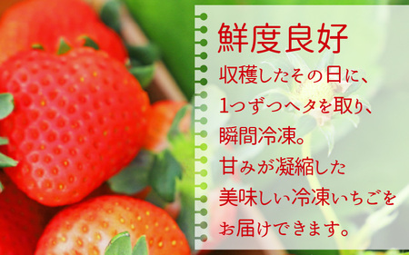 いちご農園のブランド苺【リッチゴ】(冷凍いちご×2kg)