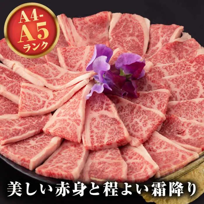 【全12回定期便】【A4～A5ランク】長崎和牛 焼肉用 上カルビ 500g《壱岐市》【野中精肉店】 牛 牛肉 和牛 赤身 焼肉 焼肉用 カルビ BBQ バーベキュー ギフト 贈答用 冷凍配送 A4 A