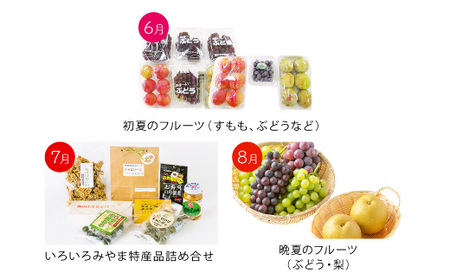 C2 【3回定期便】季節の逸品 夏 フルーツ 詰め合わせ すもも ぶどう デラウェア 梨