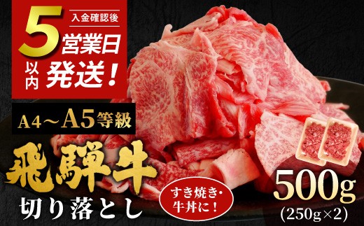 【5営業日以内発送】 飛騨牛 A4~A5等級 切り落とし 500g 岐阜県産 A4 A5 すき焼き 牛丼 炒め物 おかず 肉じゃが カレー 黒毛和牛 牛肉 牛 国産 お取り寄せ ごちそう 自宅用 部位おまかせ 和牛 訳あり 小分け 最短発送 肉のひぐち