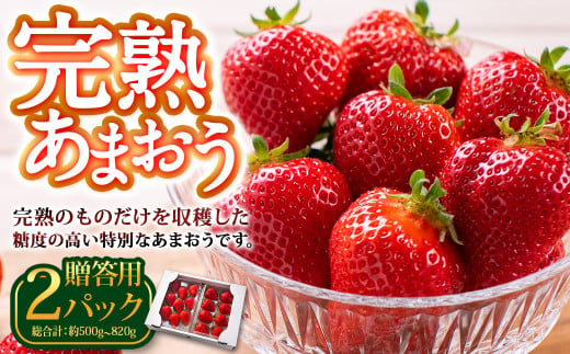 完熟あまおう 贈答用 約250g～410g×2パック 合計約500g～820g 【2025年1月上旬～3月上旬順次出荷予定】いちご 苺 イチゴ ベリー 果物 フルーツ お取り寄せ デザート おやつ