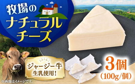 チーズ ナチュラルチーズ 3個セット　【よこすか関口牧場】[AKGN010]