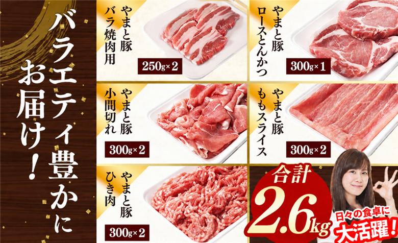 岩手県産やまと豚5種約2.6kg 国産 肉 豚肉 やまと豚 鍋 焼肉 豚ロース 豚バラ 豚こま モモスライス ひき肉 焼肉 とんかつ 生姜焼き 小分け 冷凍 岩手県 岩手町