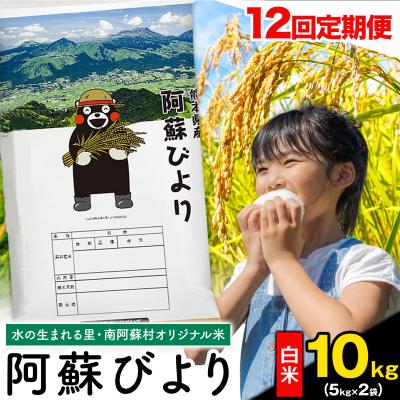 ふるさと納税 南阿蘇村 【12ヶ月定期便】阿蘇びより 白米 10kg (5kg×2袋)《お申込みの翌月から出荷》