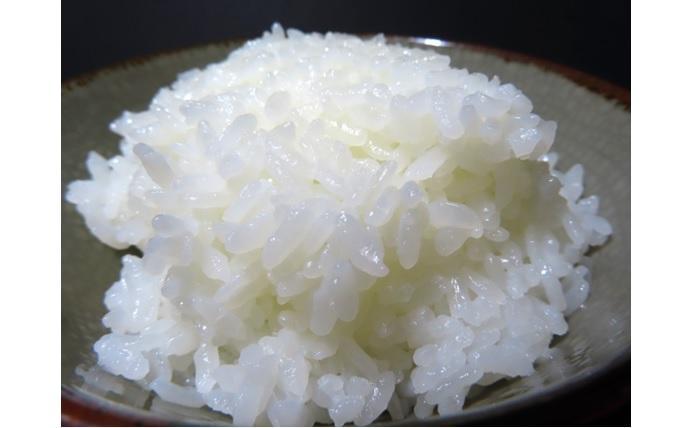 【令和7年産】佐渡高千産こしひかり　真空包装1kg×4袋