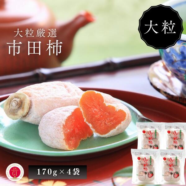 【ふるさと納税】市田柿 大粒2Lサイズ 約170g×4袋／2026年1月中旬～2月上旬ごろ配送 長野県 南信州 干し柿 市田柿 大粒 2Lサイズ 贈答 高糖度 高品質 JA38