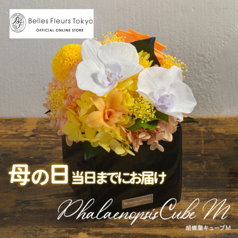 胡蝶蘭キューブM 花 お花 プリザーブドフラワー ギフト プレゼント お祝い 誕生日 お供え アレンジ インテリア 東京都 墨田区【グリーン】