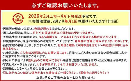 【3回定期便】 うるう農園のあまおう サイズ色々6パック （計約1710g） 【2027年2月上旬～4月下旬発送予定】 あまおう いちご 苺 果物 フルーツ 定期便 冷蔵 福岡県 太宰府