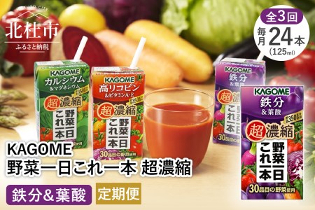 【3ヶ月定期便】カゴメ 野菜一日これ一本 超濃縮 カルシウム＆マグネシウム 125ml 紙パック 24本入 （野菜ジュース）