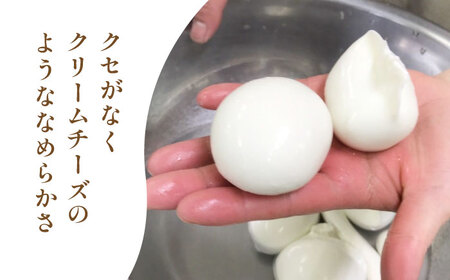 【全12回定期便】自家製 ナチュラルチーズ サンモッツア 4個 ( 100g × 4個 ) / チーズ モッツァレラチーズ  乳製品 熊本 山都町 チーズ定期 チーズ定期便 熊本チーズ 自家製チーズ 