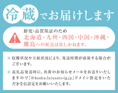見た目が理由の訳あり桃 約2kg（5～9玉）【2025年発送】（HCF）A07-845【桃 訳あり もも モモ 令和7年発送 期間限定 山梨県産 甲州市 フルーツ 果物】