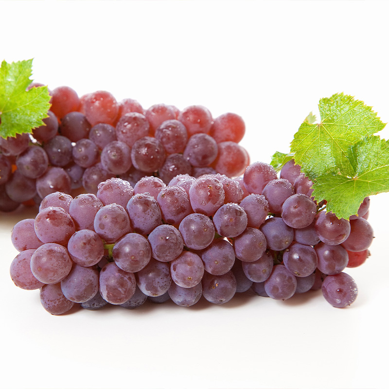 【定期便4回】やまがた 秋風フルーツライン定期便【令和8年産先行予約】FU23-878