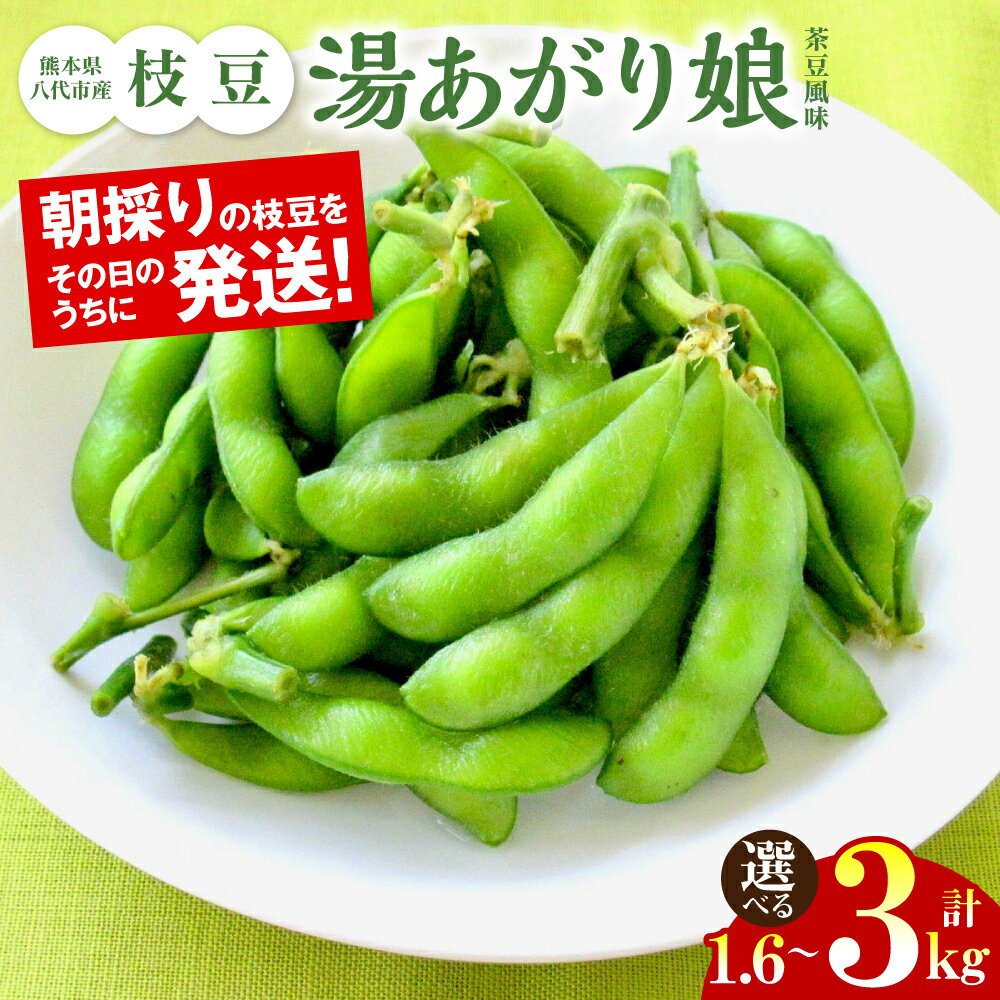 【ふるさと納税】 【先行予約】 熊本県八代市産枝豆 [湯あがり娘（茶豆風味）] 1.6kg えだまめ エダマメ 茶豆 旬 おつまみ 食品 おかず 弁当 送料無料 【2025年6月下旬より順次発送】