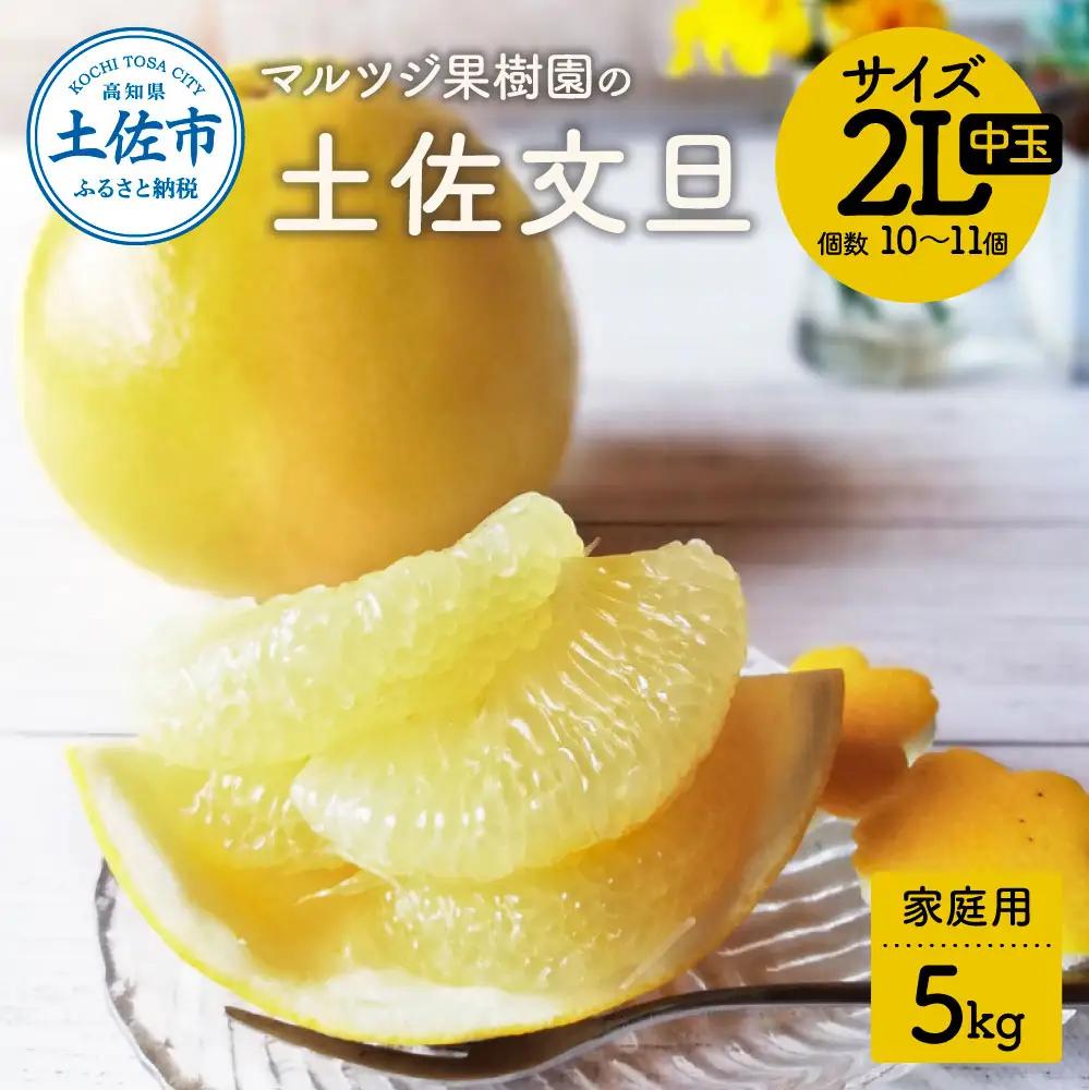 文旦 5kg 土佐文旦 中玉 家庭用【先行予約】[BQAN011]