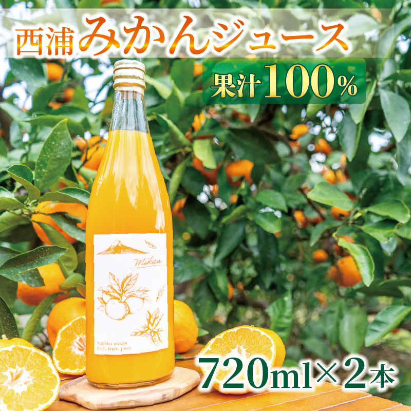 果汁100％ みかんジュース 720ml×2本 西浦