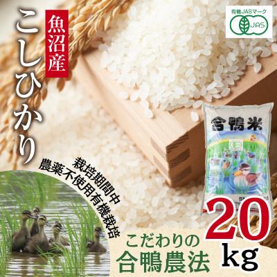 ふるさと納税 十日町市 【精米】魚沼産 コシヒカリ 20kg 栽培期間中農薬不使用 あいがも農法 有機栽培米 新潟県十日町市
