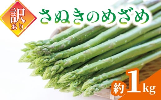 【訳あり】 予約 アスパラガス さぬきのめざめ 1kg グリーン アスパラガス アスパラ あすぱら あすぱらがす 採れたて 新鮮 旬 産地直送 野菜 香川県 丸亀市 配送：6月中旬～10月中旬