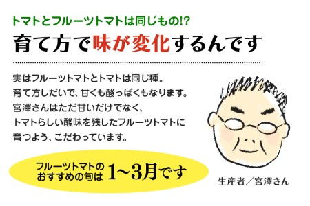 ＜2024年1月～出荷予定＞ 数量限定 先行予約 爆音トマトと呼ばれるフルーツトマト「百里百」 2kg 甘い 酸味 肉厚 大玉 産地直送 とまと 健康 リコピン 百里基地 戦闘機 国産 茨城県 小美玉