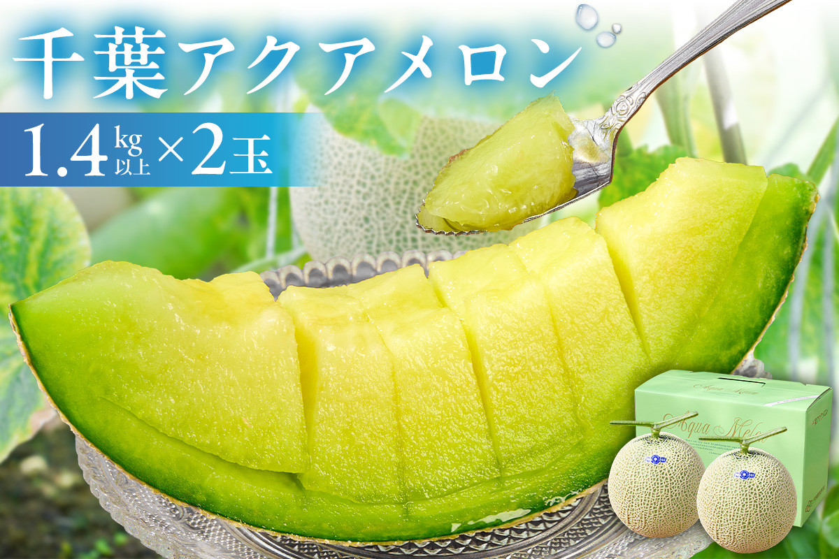 
            千葉アクアメロン(マスクメロン)2玉【まとめてお届け】 mi0018-0003-OYA【メロン 青肉 ギフト 贈答 プレゼント フルーツ 果物】
          