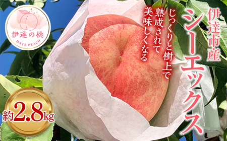 【2026年出荷分先行予約】福島県産 シーエックス 約2.8kg (6～10玉) あかい果樹園 大玉 固め 伊達の桃 桃 フルーツ 果物 もも モモ momo F20C-444