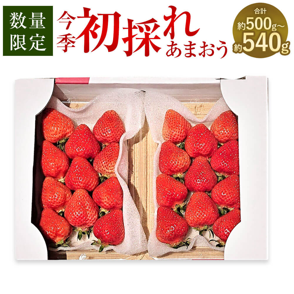 【ふるさと納税】＜予約＞今季初採れ あまおう 2パック【数量限定】 合計約500～540g 【2025年12月上旬～2026年1月下旬発送予定】 約250～270g×2パック 2L・2A・G規格以上 いちご イチゴ 苺 旬 果物 フルーツ 福岡県産 九州産 冷蔵配送 送料無料