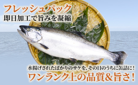 北海道オホーツク産 サケ水煮 缶詰170g×6個［サクラマス］フレッシュパック［海洋食品］【 鮭 鱒 サケ マス さくら 鮭缶 さけ缶 缶詰 惣菜 加工食品 魚貝類 サーモン 北海道 オホーツク 枝幸