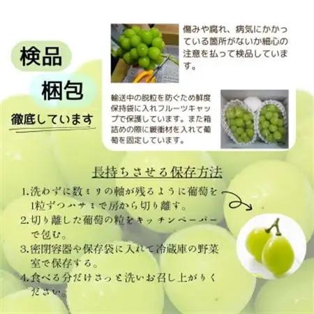 【2026年発送】シャインマスカット　2～3房 1.5kg【配送不可地域：離島】【1565515】