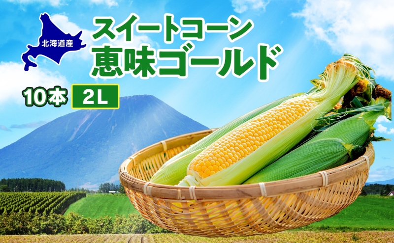  北海道産 スイート コーン めぐみゴールド 2Lサイズ 10本 先